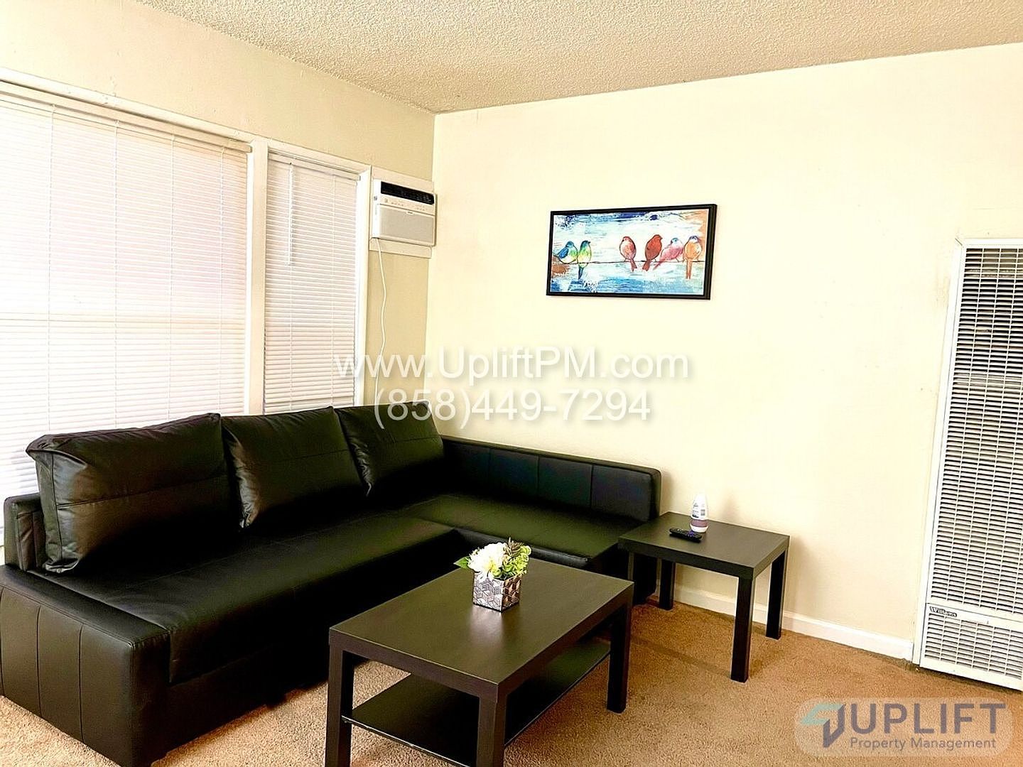 4829 Castle Avenue living area